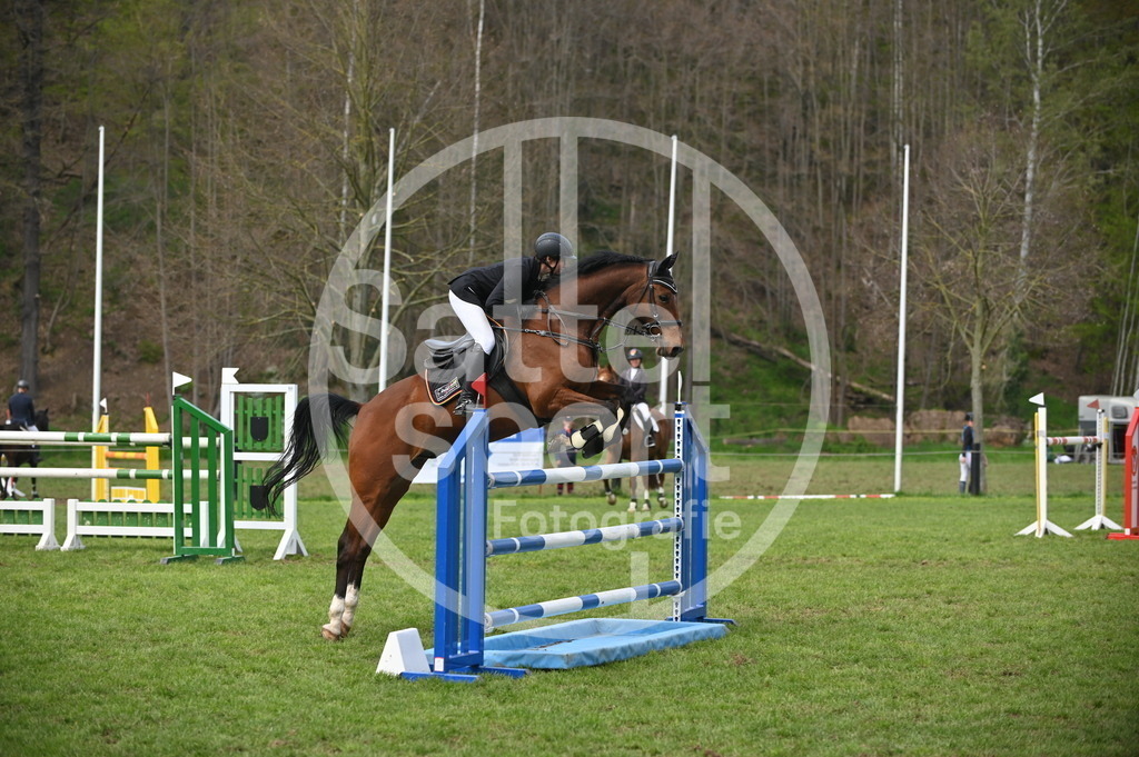 DSC_3748 | sattelsport - Realisiert mit Pictrs.com