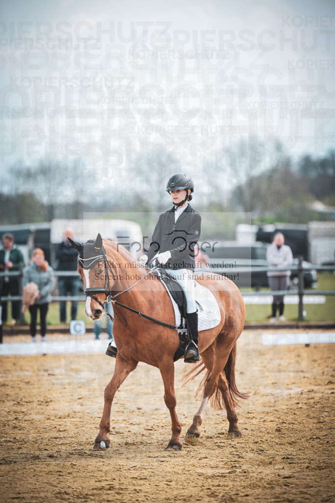 DOS_7891 | Entdecke hochwertige Reitturnierfotos von Foto Oger. Professionell, emotional und authentisch – jetzt Lieblingsmomente im Shop bestellen.Deutschlandweite Turnierfotografie. - Realisiert mit Pictrs.com