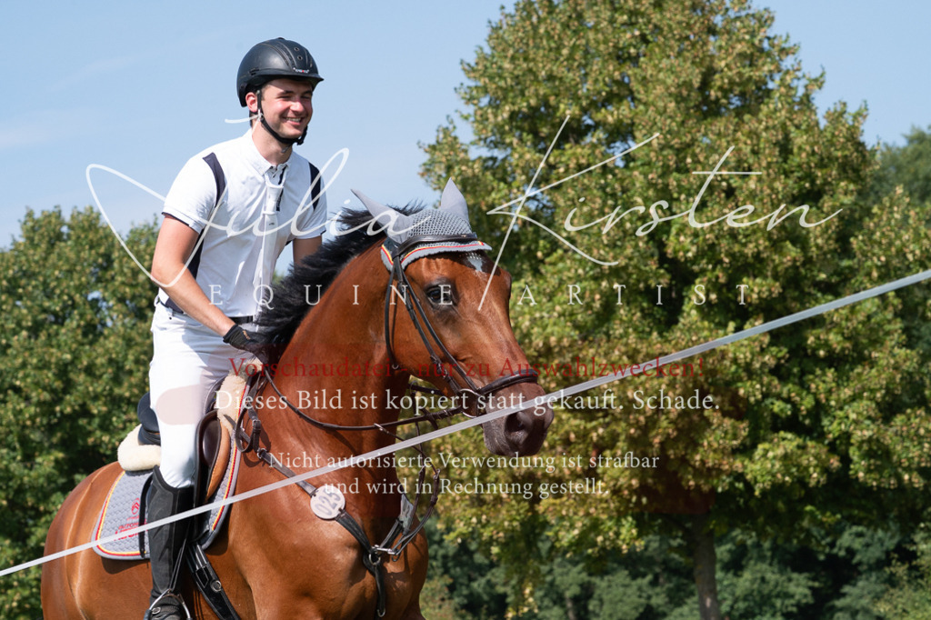 DSC_0823 | Pferde- und Turnierfotografie in Westsachsen. Pferdeportraits, Auftragszeichnungen und intuitive Kunst.