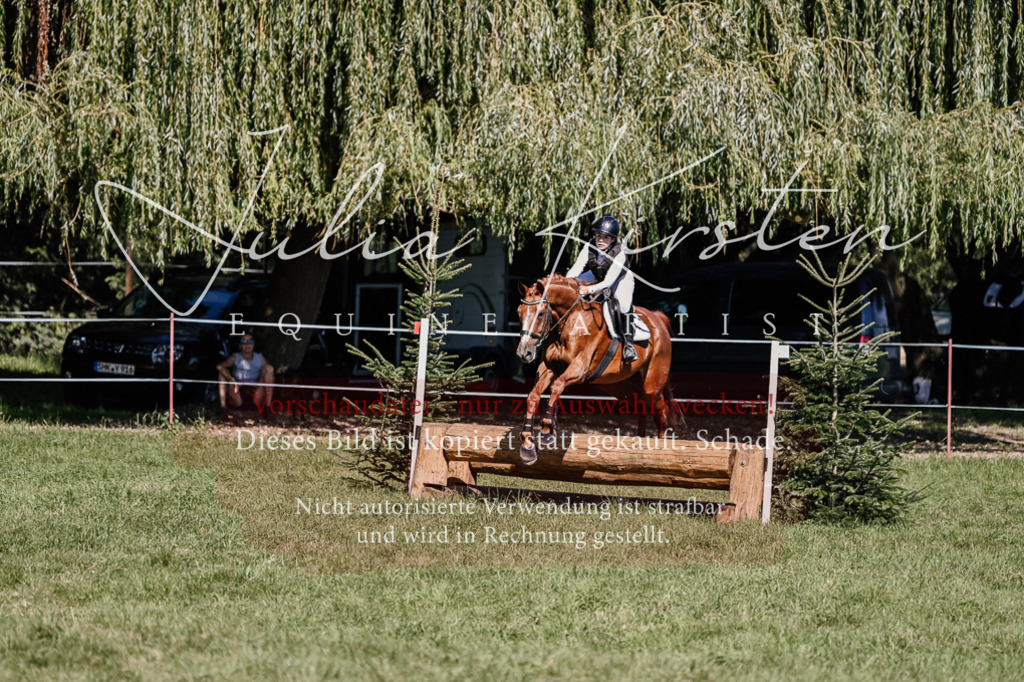 DSC_2675 | Pferde- und Turnierfotografie in Westsachsen. Pferdeportraits, Auftragszeichnungen und intuitive Kunst.