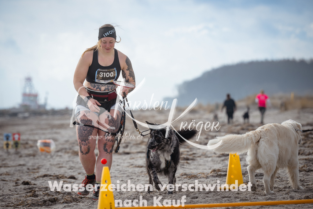 1227_ZZ96634 | kk-dogfotos