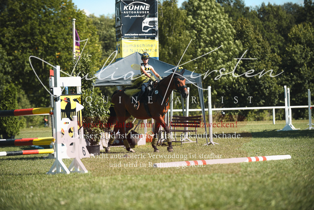 DSC_7477 | Pferde- und Turnierfotografie in Westsachsen. Pferdeportraits, Auftragszeichnungen und intuitive Kunst.