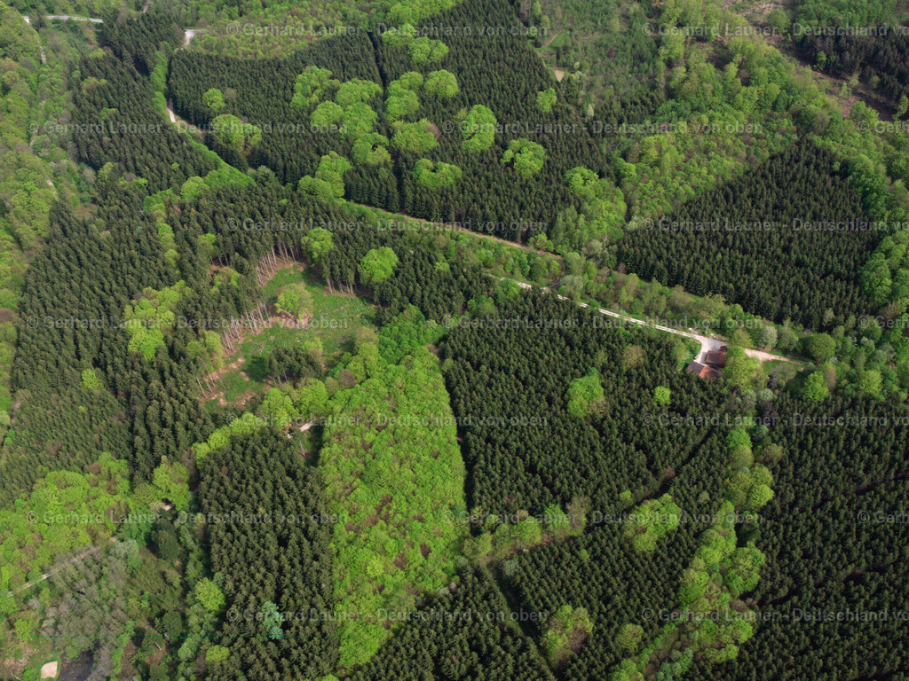 2504459 | frühlingshafte Baumstrukturen bei Steinbach