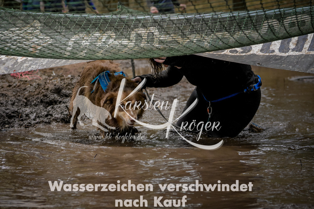 1020_ZZ90711 | kk-dogfotos