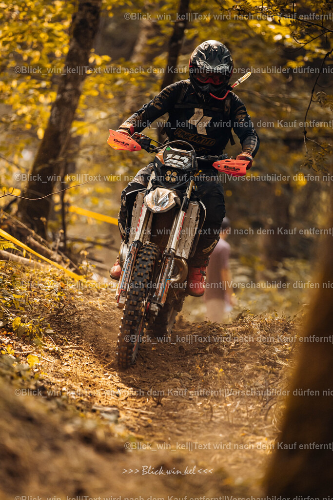 E68A4082 | blick_win_kel