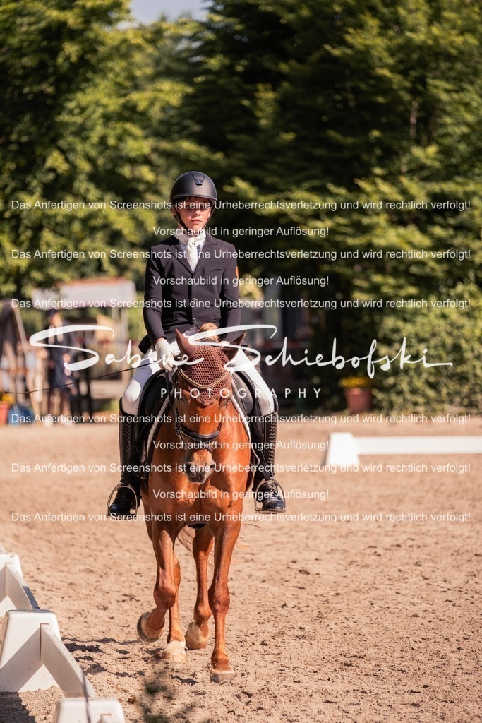 2025_05_31_DSCF2970 | People- und Tierfotografie, Imageaufnahmen, Veranstaltungsfotografie und Wandbilder aus der Natur ★ Made in Germany ✔️ Druck + Downloads ✔️ Naturfotografie in Top Qualität ★ schneller Versand, weltweite Lieferung! - Realisiert mit Pictrs.com