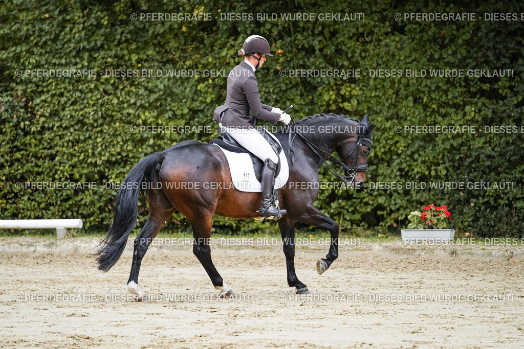 DSC08778 | Pferdegrafie