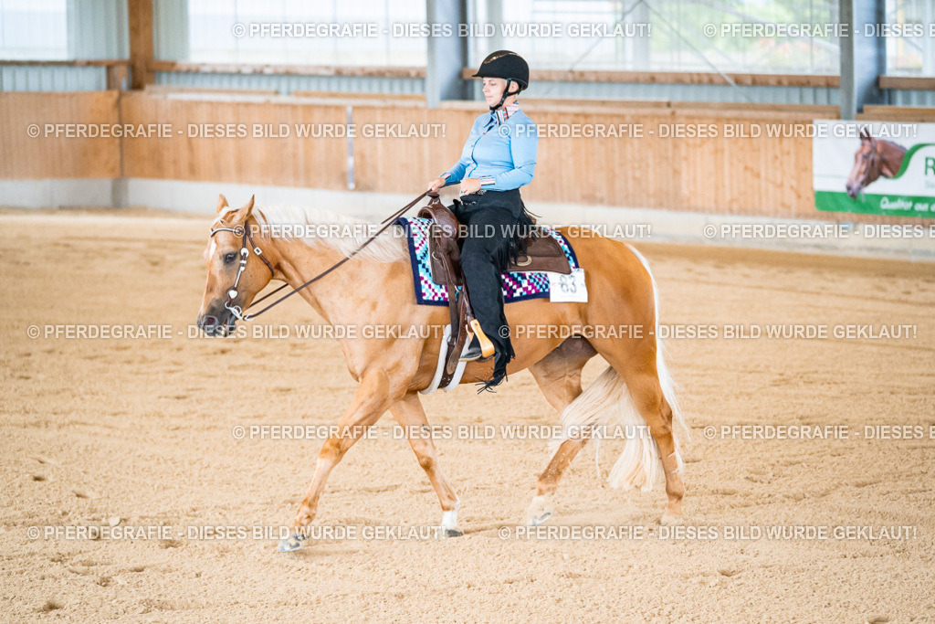 DSC01642 | Pferdegrafie