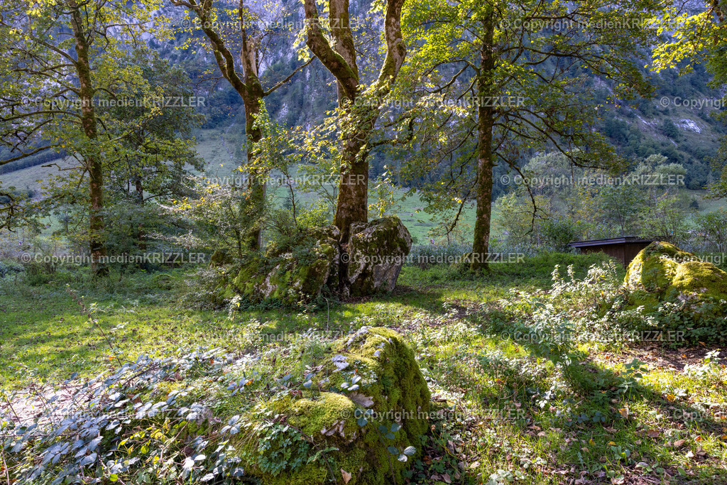 Königssee | medienkrizzler - Realisiert mit Pictrs.com