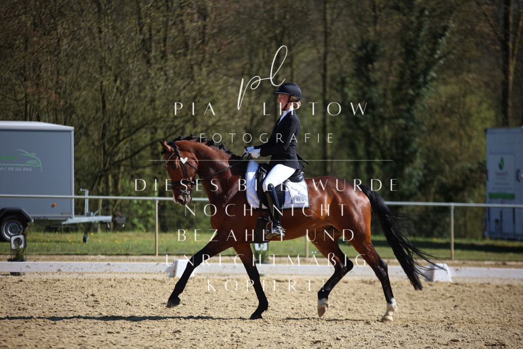 IMGT8888 | pl-fotografie