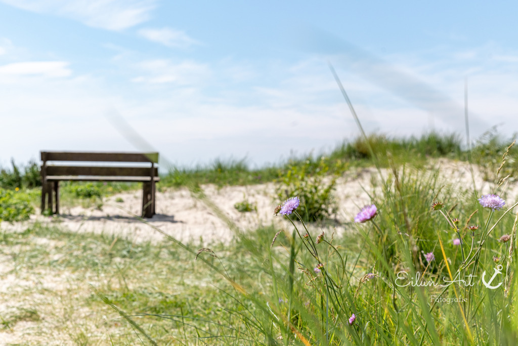 20240616-EAF_2193 | Eilun-Art-Fotografie Levke Martens, ihre Fotografin für Immobilien- und Landschaftsfotografie auf Föhr, Föhrer Motive als Poster, Leinwand, hinter Acrylglas oder stelle dir deinen eigenen Monatskalender zusammen, mit nur einem Klick