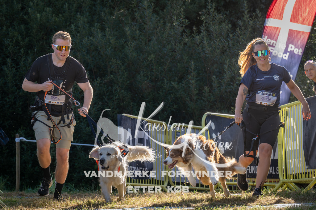 0906_ZZ94126 | kk-dogfotos