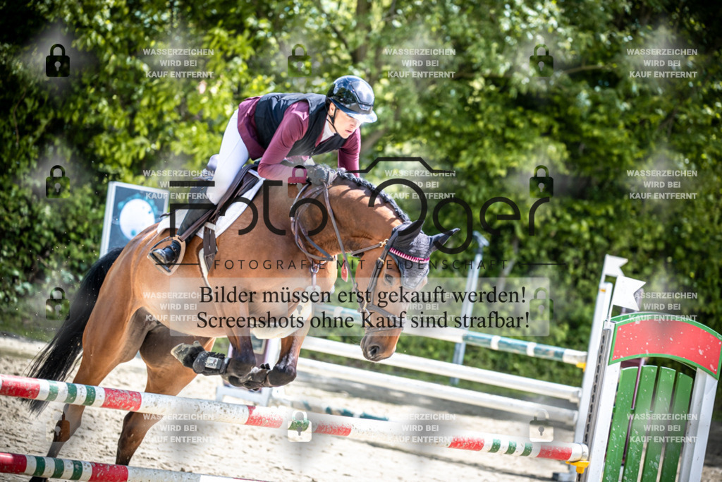 DOS_1685 | Reitturnier Lüdinghausen - Realisiert mit Pictrs.com