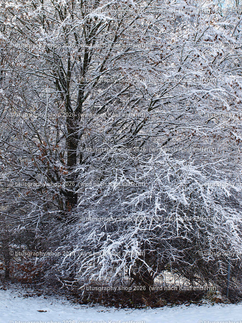 phototitusgraphy Winterimpressionen-Edition 001 | Fotokunstarbeit aus der INSTAGRAM-Gallerie auf titusgraphy.eu - Realisiert mit Pictrs.com