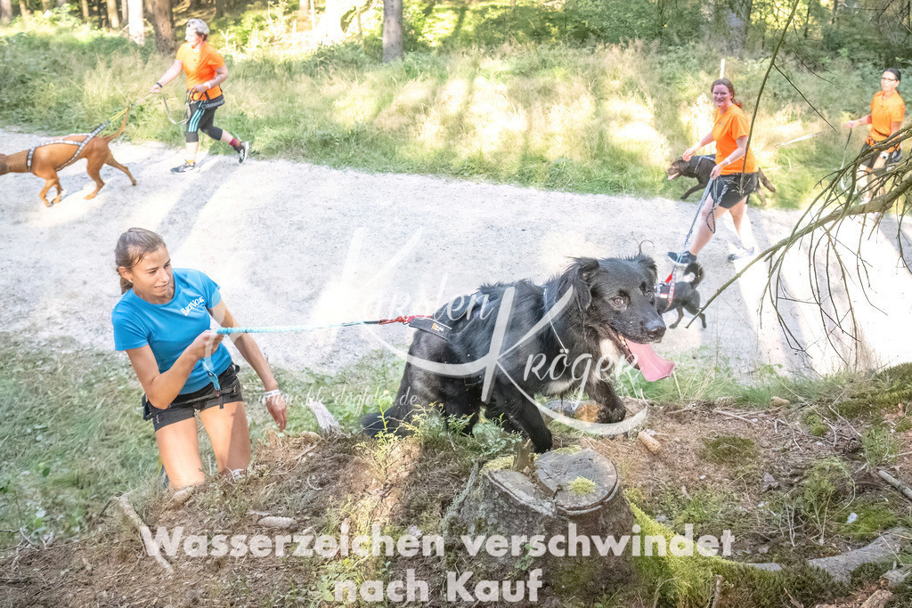 1056_ZZ93749 | kk-dogfotos