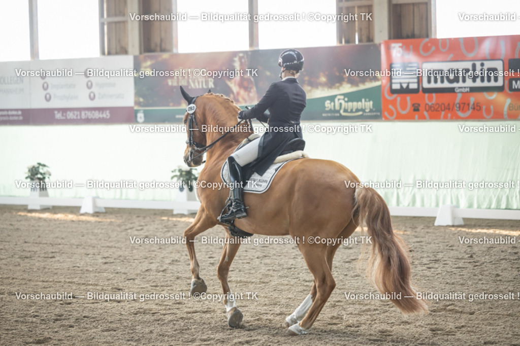 _D5A7946 | Emotionale Pferde- & People-Fotografie rund um Heidelberg, Leimen & Umgebung. Natürliche Fotos von Pferd, Mensch & Familie. Jetzt Termin sichern!
