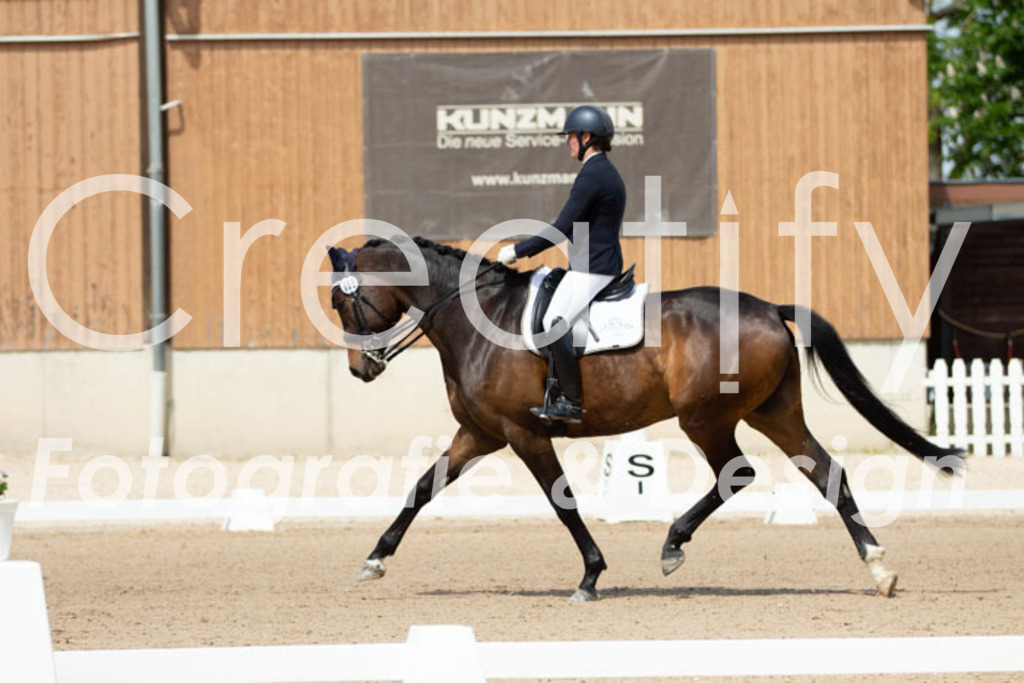 IMG_5635 | Creatify Fotografie