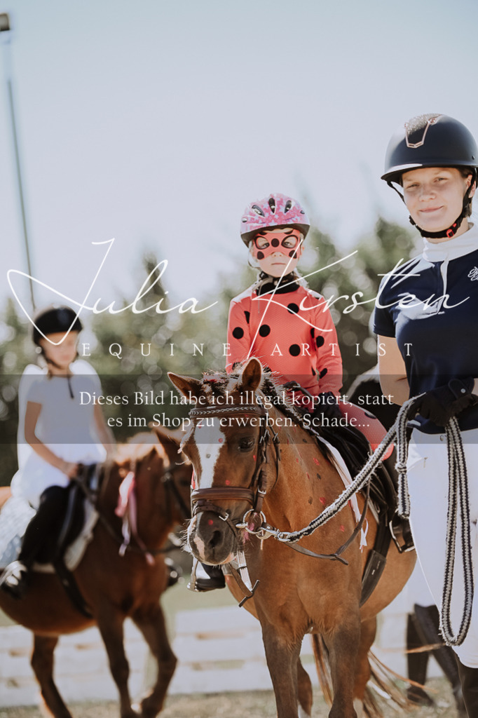 DSC_8840 | Pferde- und Turnierfotografie in Westsachsen. Pferdeportraits, Auftragszeichnungen und intuitive Kunst.