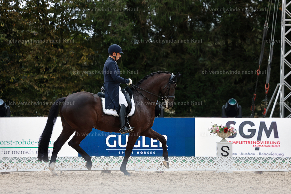 12-058-DRESSUR  S___  -StoibPH-5364 | working equitationturnier fotograf videograf stoibphotography marixx film working equitation deutschland reitsport turnierfotografie eventfotografie equestrian events