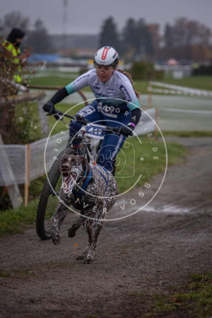 CaniXpix_0L8A1511 | Hundefotografie, Tierfotograf, Pfotenfotografie, Fotoshooting Hund, Hunde Portrait, Hundesport, Hundeportraits, Heideshooting, Hunde, Sportfotograf, Hundefotograf, Turnierhundsport, THS,  - Realisiert mit Pictrs.com