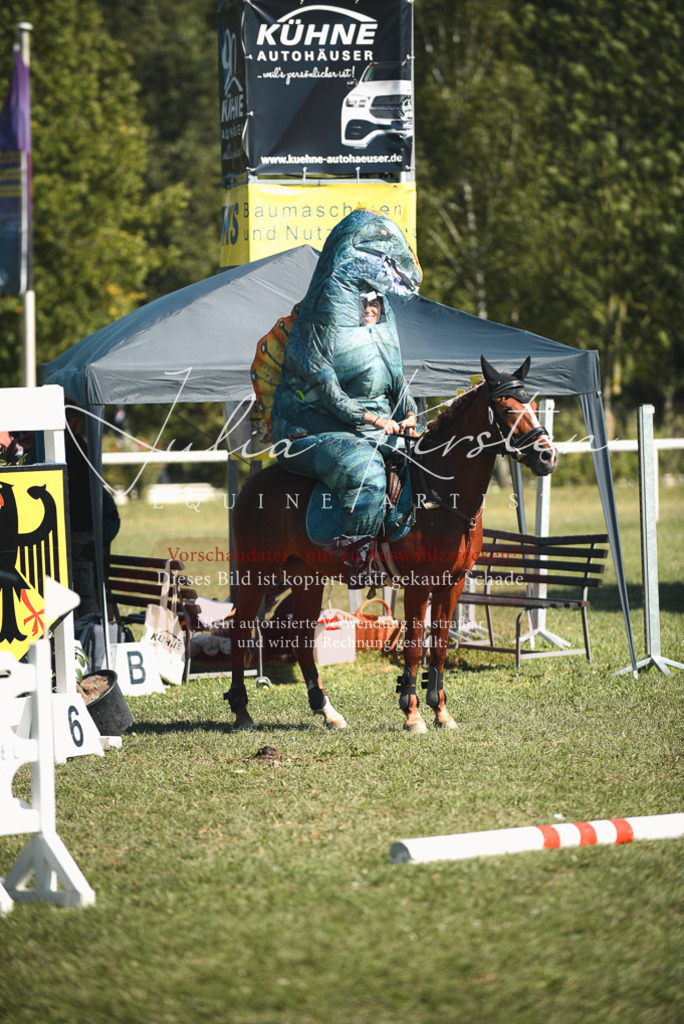 DSC_7635 | Pferde- und Turnierfotografie in Westsachsen. Pferdeportraits, Auftragszeichnungen und intuitive Kunst.