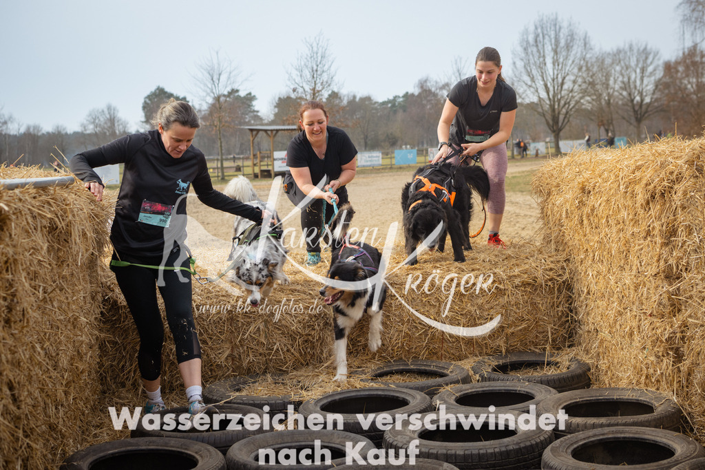 1053_ZZ90859 | kk-dogfotos