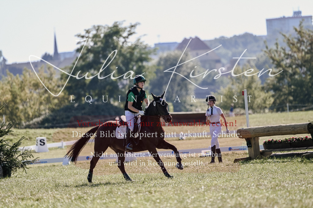 DSC_3593 | Pferde- und Turnierfotografie in Westsachsen. Pferdeportraits, Auftragszeichnungen und intuitive Kunst.