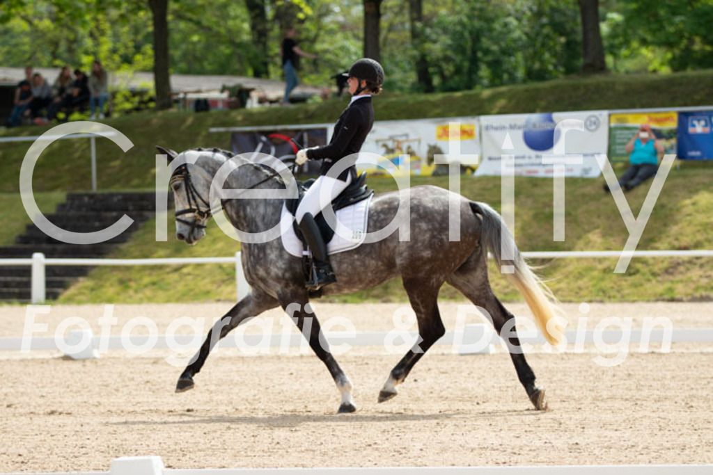 IMG_0452 | Creatify Fotografie