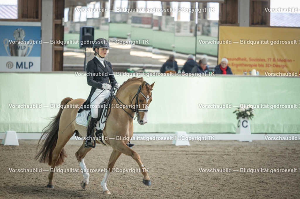 _D5A9387 | Emotionale Pferde- & People-Fotografie rund um Heidelberg, Leimen & Umgebung. Natürliche Fotos von Pferd, Mensch & Familie. Jetzt Termin sichern!