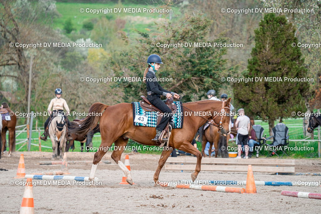 BAL02829 | dv-media-shop - Realisiert mit Pictrs.com