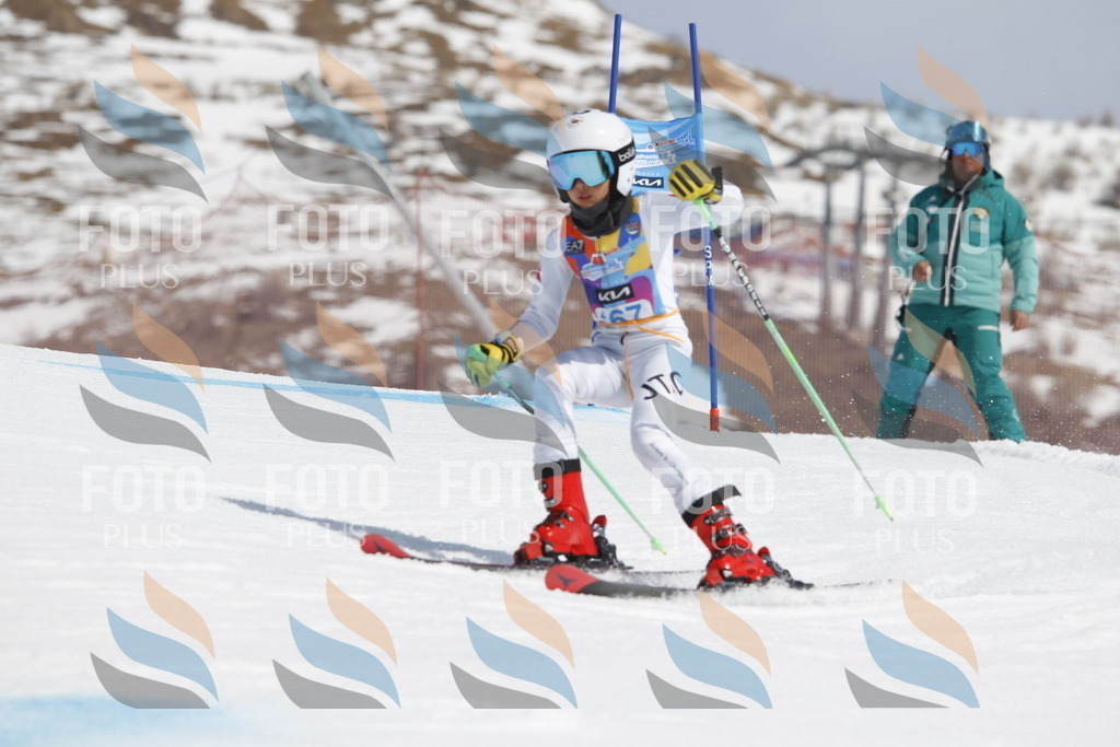 _U3G1488 | holidayphoto