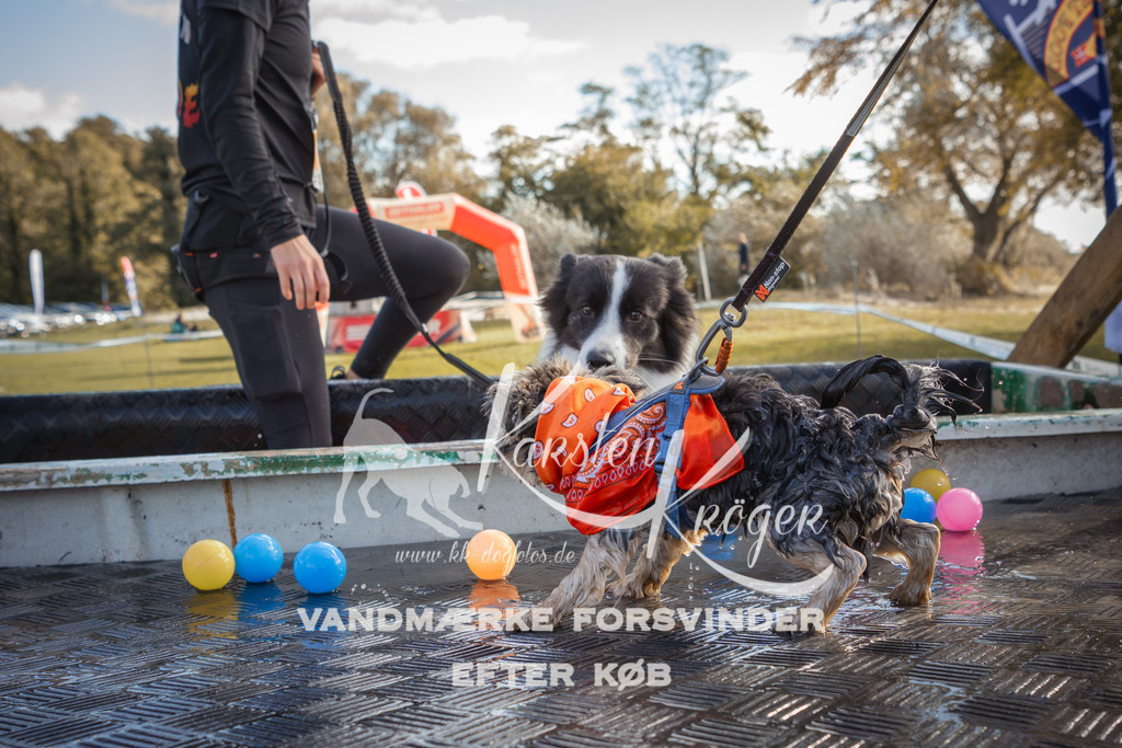 1303_ZZ98998-2 | kk-dogfotos
