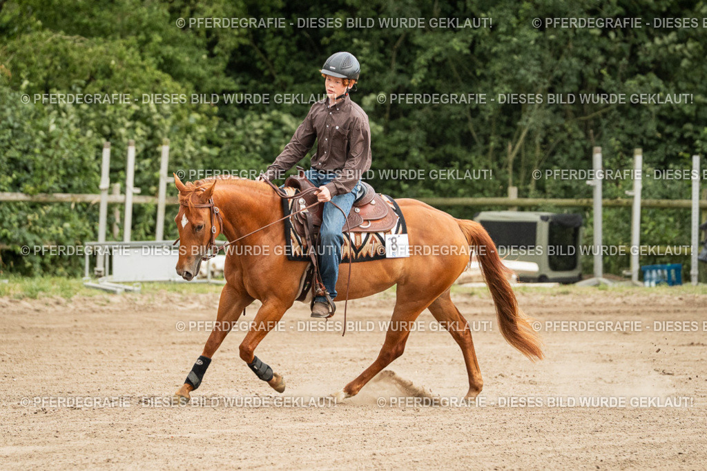 DSC04845 | Pferdegrafie