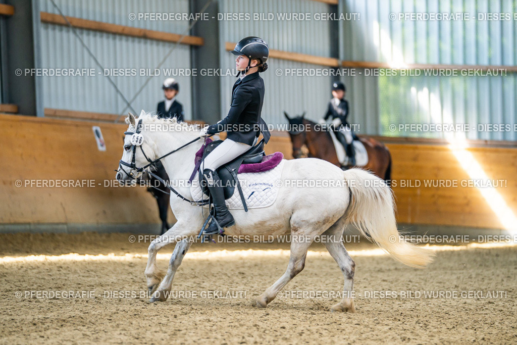 DSC02612 | Pferdegrafie