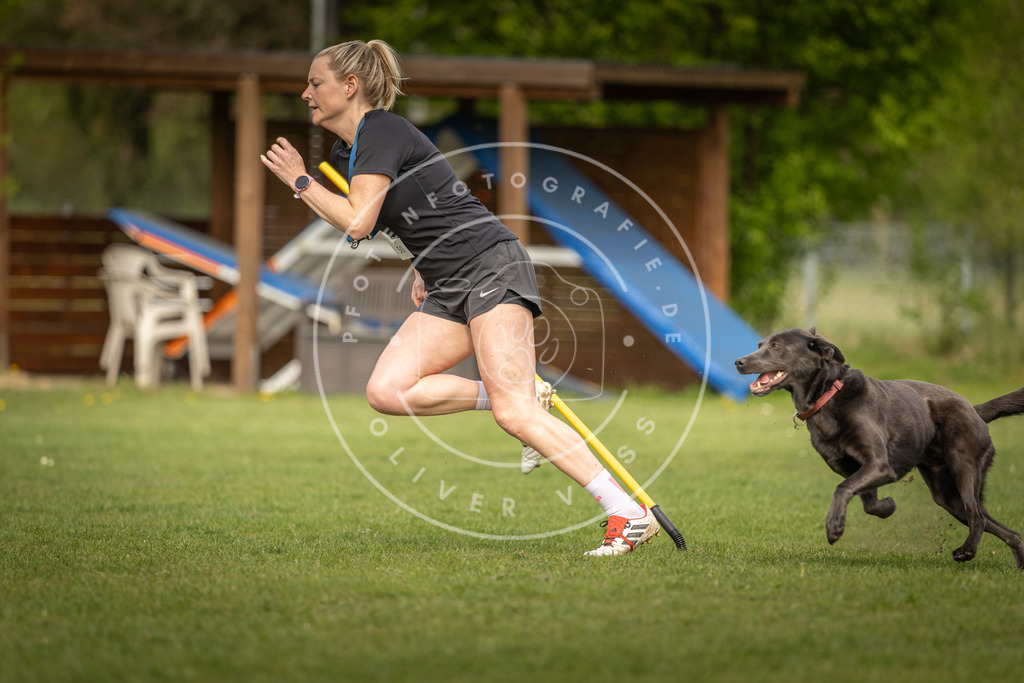 Pfotenfotografie_DV3A5373 | Hundefotografie, Tierfotograf, Pfotenfotografie, Fotoshooting Hund, Hunde Portrait, Hundesport, Hundeportraits, Heideshooting, Hunde, Sportfotograf, Hundefotograf, Turnierhundsport, THS,  - Realisiert mit Pictrs.com