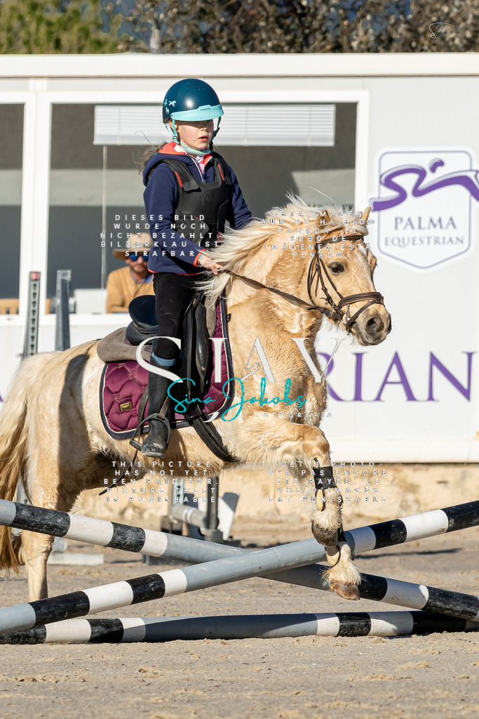 IMG_7810 | s-jay-photography - Realisiert mit Pictrs.com