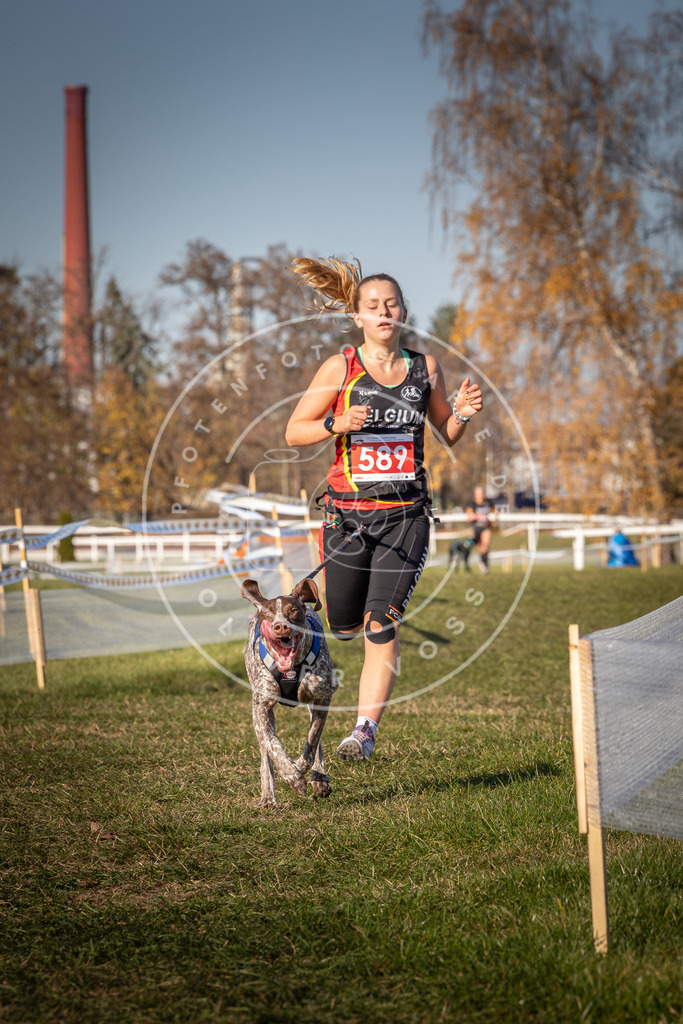 CaniXpix_0L8A8321 | Hundefotografie, Tierfotograf, Pfotenfotografie, Fotoshooting Hund, Hunde Portrait, Hundesport, Hundeportraits, Heideshooting, Hunde, Sportfotograf, Hundefotograf, Turnierhundsport, THS,  - Realisiert mit Pictrs.com