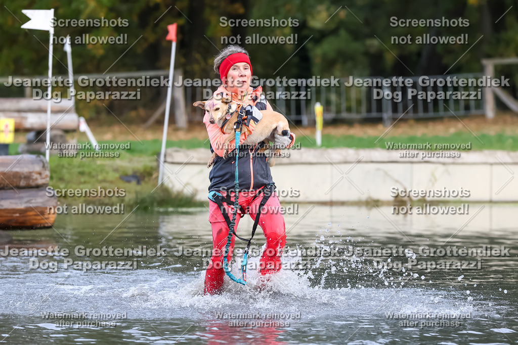 Dog Paparazzi - Strongdog 10-25-6846 | Dog Paparazzi Jeanette Grottendiek Fotografie & Videografie - Realisiert mit Pictrs.com