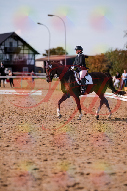 2026_10_03_Siefer-Hof_132607_Z81_78930034 | Professionelle Reitsport-, Turnier- und Eventfotografie von Robert Broda. Galerien mit ausgewählten und bearbeiteten Bildern direkt online ansehen und bestellen.