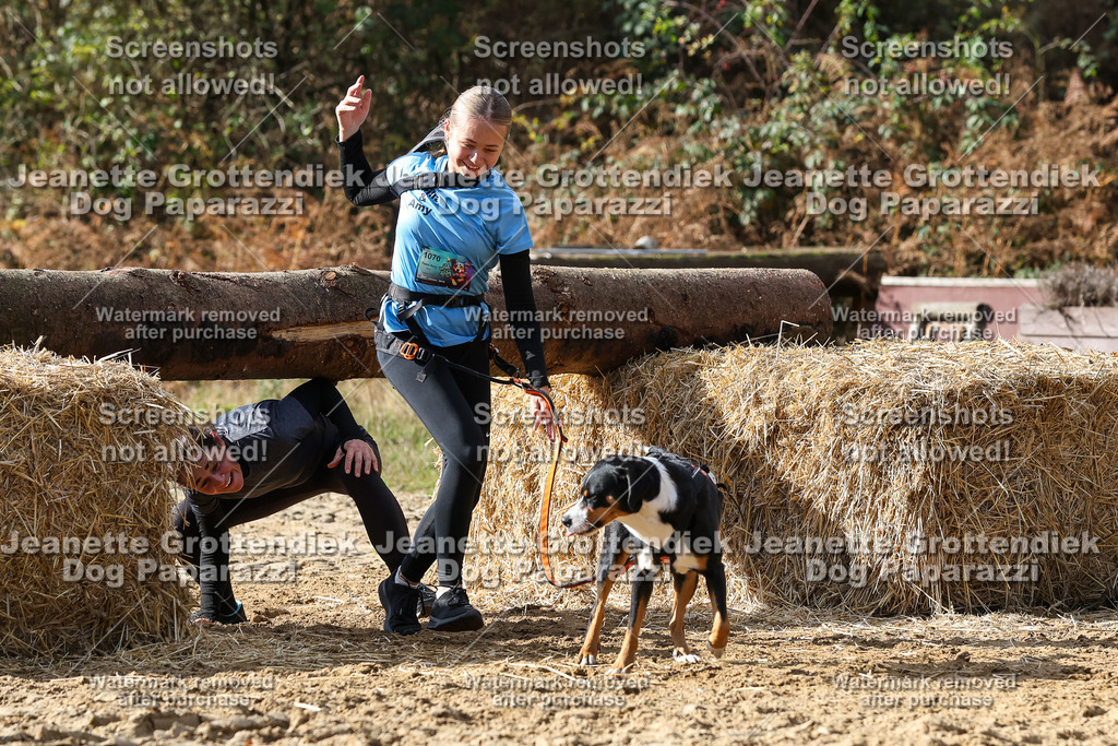 Dog Paparazzi - Strongdog 10-25-5140 | Dog Paparazzi Jeanette Grottendiek Fotografie & Videografie - Realisiert mit Pictrs.com