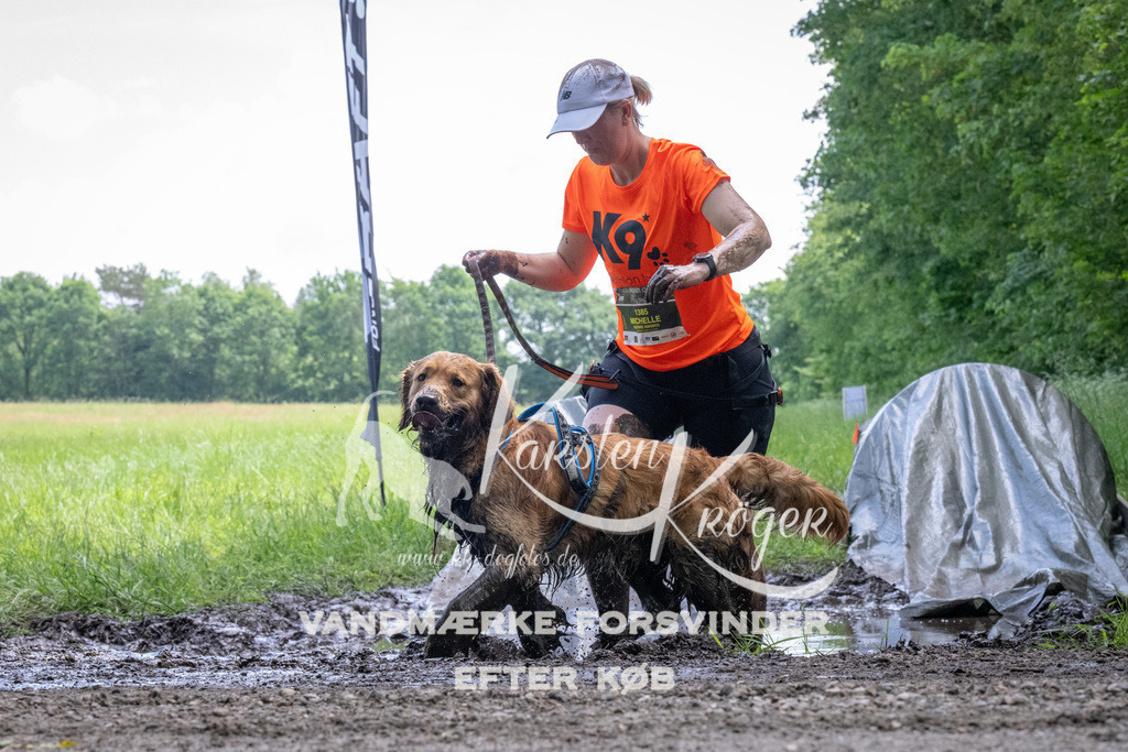 1145_ZZ94420 | kk-dogfotos
