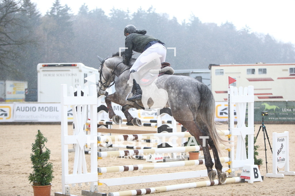 AS8V2122 | Willkommen bei Brunnmayr - Design & Fotografie – Ihrem Spezialisten für Reitturniere und Pferdeveranstaltungen in Oberösterreich, Salzburg und Bayern! Seit über 17 Jahren sind wir leidenschaftlich dabei.