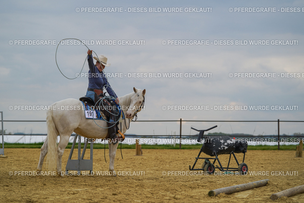 DSC07522 | Pferdegrafie