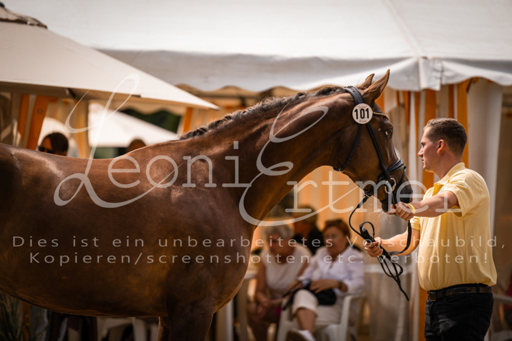 2. Fr00020 | Leoni Ertmer Photography - Realisiert mit Pictrs.com