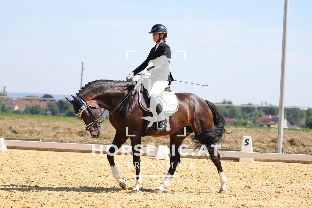 0P6A9638 | Willkommen bei Brunnmayr - Design & Fotografie – Ihrem Spezialisten für Reitturniere und Pferdeveranstaltungen in Oberösterreich, Salzburg und Bayern! Seit über 17 Jahren sind wir leidenschaftlich dabei.