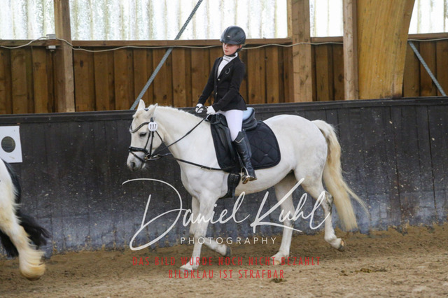 IMG_1406 | Turniersportfotografie; Pferdefotografie; Dressurfotografie