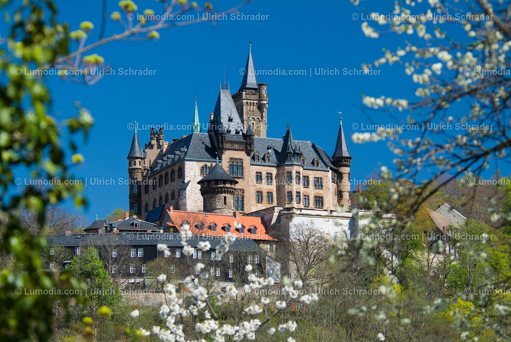 00491-1373 - Schloss Wernigerode | Stockfoto und Bilderpool mit Bildmaterial aus Deutschland, dem Harz, Halberstadt, Quedlinburg, Wernigerode und weltweit. Qualitativ hochwertige und professionelle Fotos anschauen und kaufen. - Realisiert mit Pictrs.com