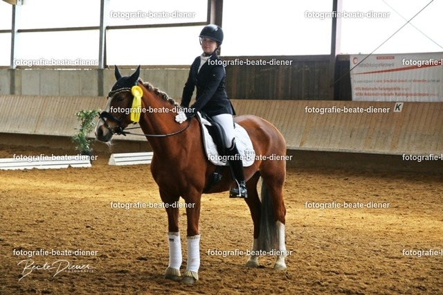 JugendTrophy0981 | Fotografie, Tiere, Hunde, Katzen, Pferde, Sportfotografie, Fotosession, Tierfotografie, Turnierfotografie, Fotografin, Fotograf - Realisiert mit Pictrs.com