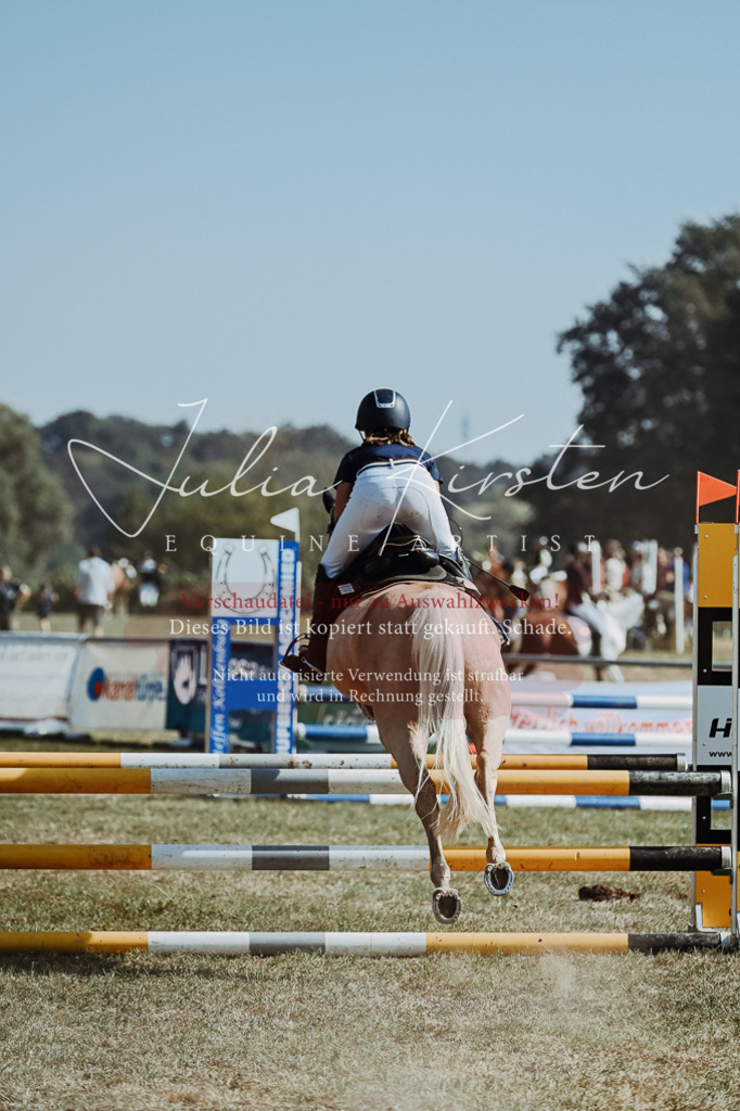 DSC_9344 | Pferde- und Turnierfotografie in Westsachsen. Pferdeportraits, Auftragszeichnungen und intuitive Kunst.
