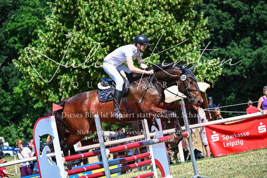 DSC_1241 | Pferde- und Turnierfotografie in Westsachsen. Pferdeportraits, Auftragszeichnungen und intuitive Kunst.